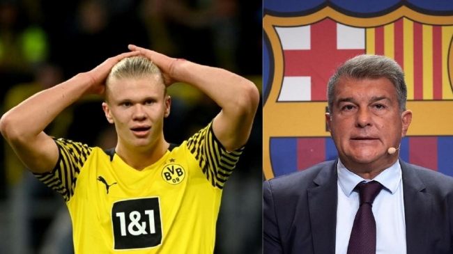 汇聚国内顶尖骑手！这场马术巅峰赛将在桐庐举行